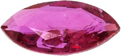 Navette