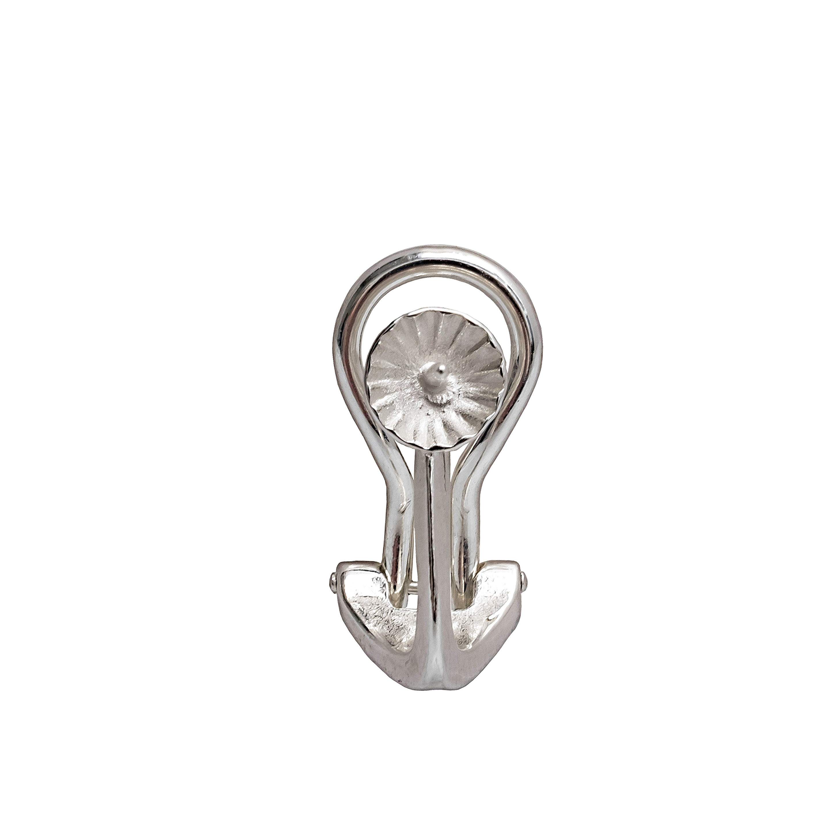 Ear clips & screws